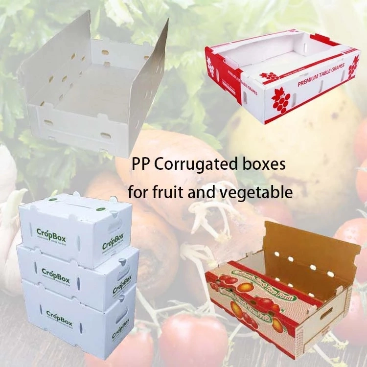 Recyclable Plastic PP Coroplast Corrugated Foldable Standard Corflute Sizes Box