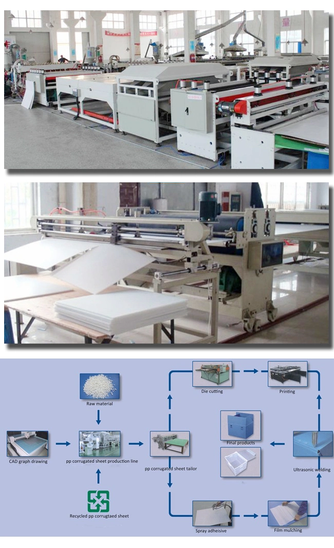 Building Material PP Corflute Correx Coroplast Rolls for Hard Floor Protection