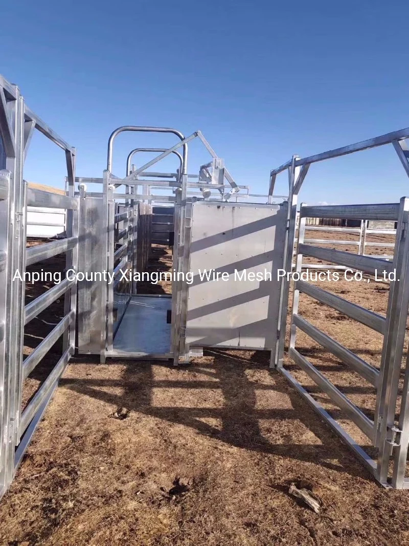 Livestock Equipment Livestock Yard Cattle Yard Sheep Yard