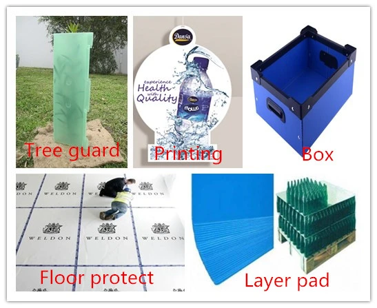 4mm PP Corrugate Plastic Sheet/Corflute Sheet for Signs Making