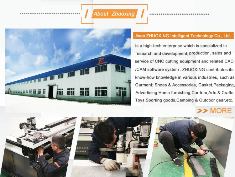 Zhuoxing High Productivity Cutting Machine for Kt Board/Flatbed /Advertising Board