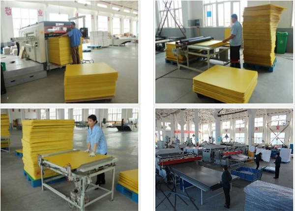 PP Corrugated Sheet/Coroplast Sheet/Correx Sheet for Printing and Packing