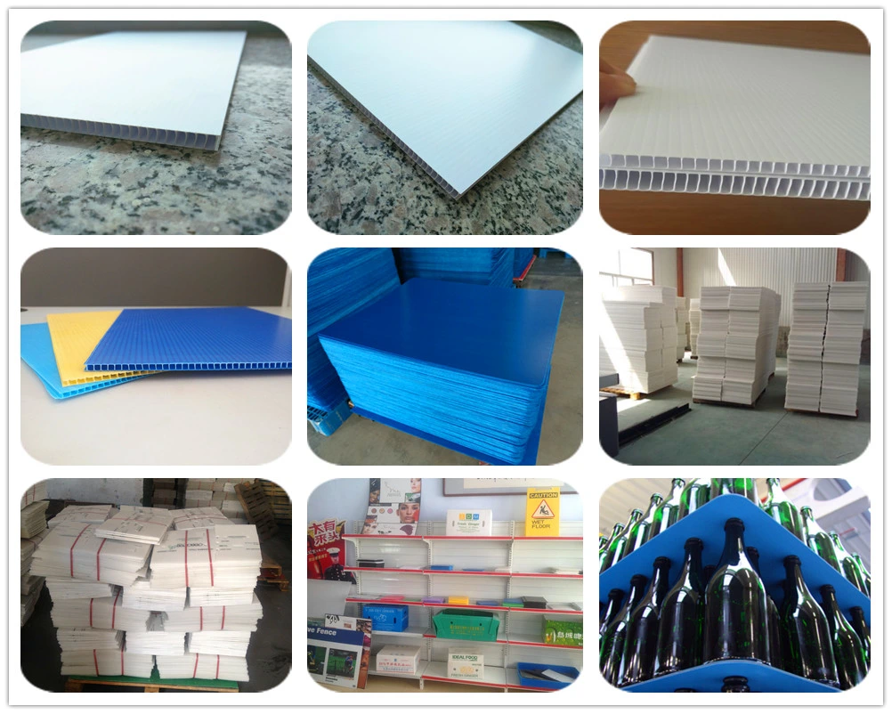 Corona Treated Corruageted Plastic Sheets PP Coroplast Sheet 4mm 5mm