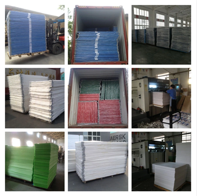 Corrugated Plastic Board Corrugated PP Sheet Coroplast Transparent PP Sheet