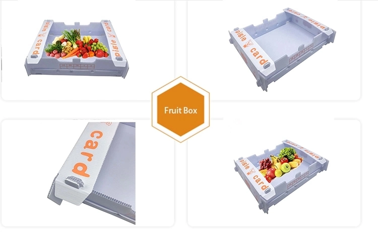 Recyclable Plastic PP Coroplast Corrugated Foldable Standard Corflute Sizes Box