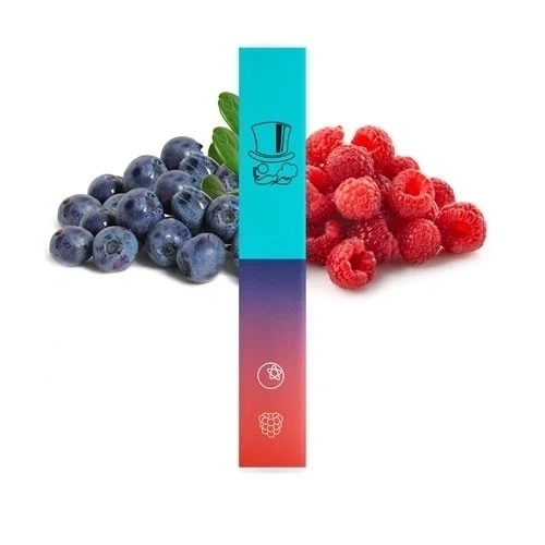 Best Hot Selling Wholesale Pod Device Mr. Vapor Disposable Vape
