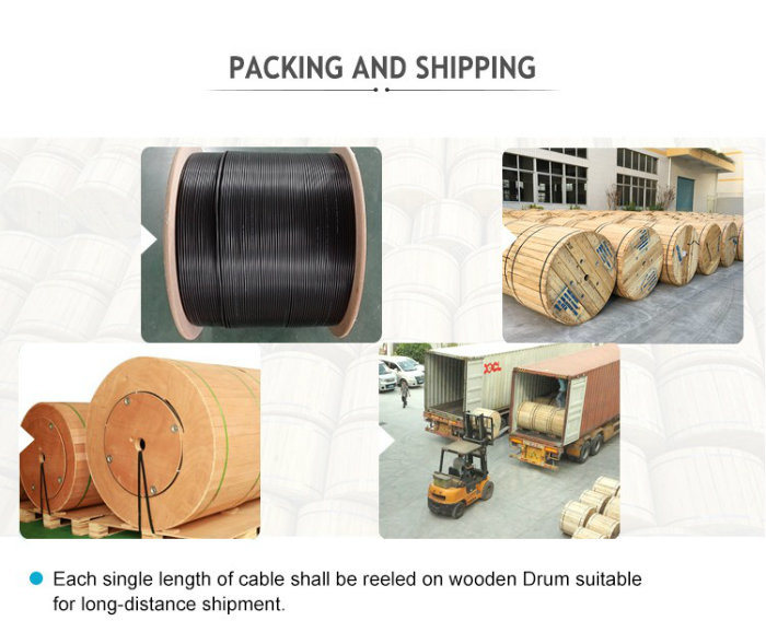 Outdoor Aerial 2-12 Core Single Mode Fiber Optical Fibra Optica Coaxial Cable