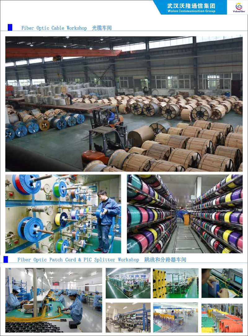 Waterproof Outdoor Patch Cord /Gyfjh /Odlc/Pdlc- LC Optic Fiber Patchcord