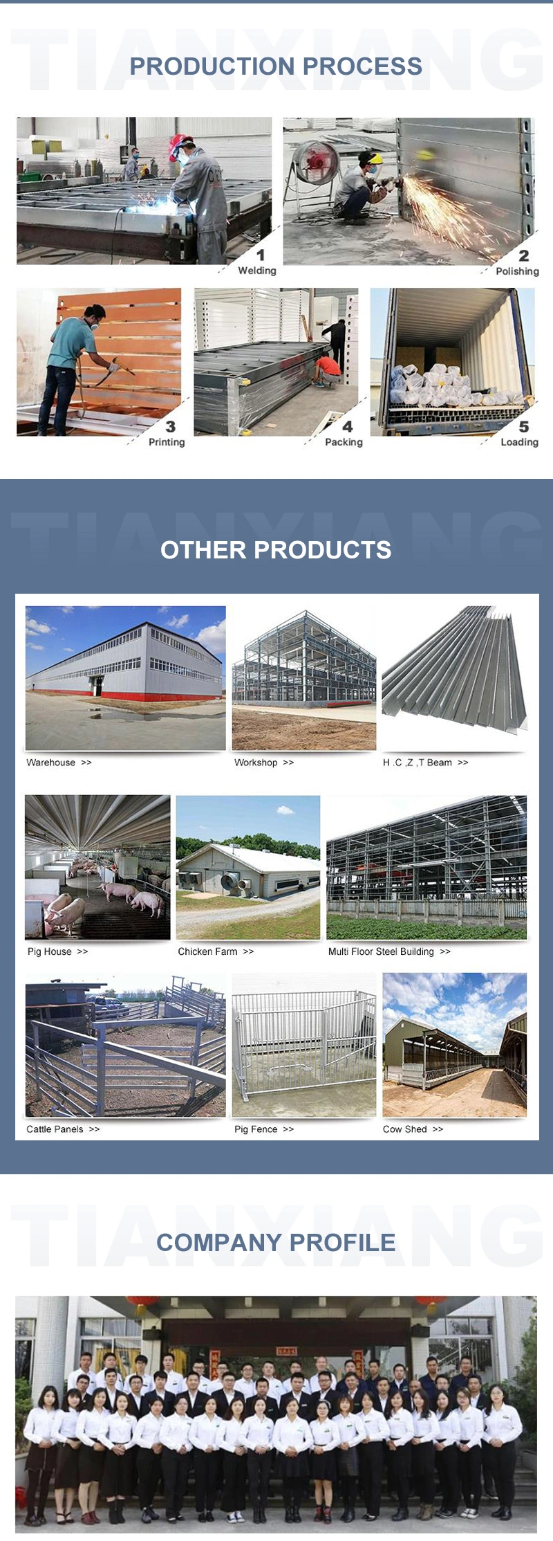 Good Design Modern Prefabricated Villa Luxury Prefab House Container Houses for Export