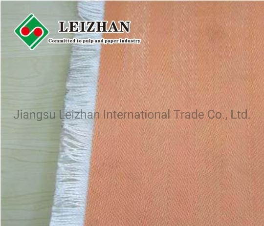 Professional Production Wet Desulfurization Tail Special Mesh Belt Desulfurization Fabric