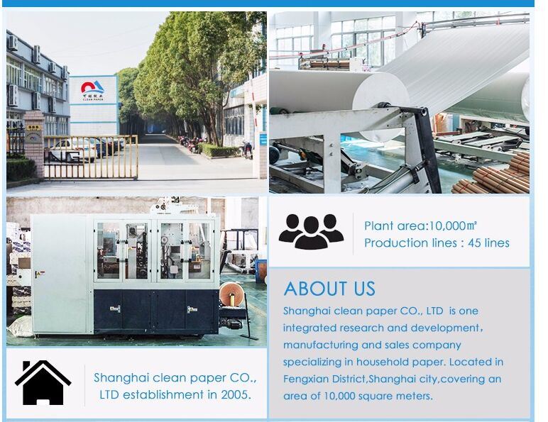 China Suppliers Custom Logo Printed Paper Napkins