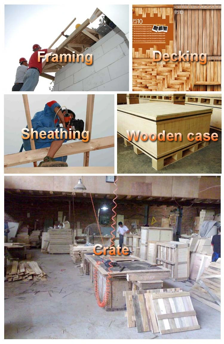 34 Degree Srn9034 Air Framing Nail Gun