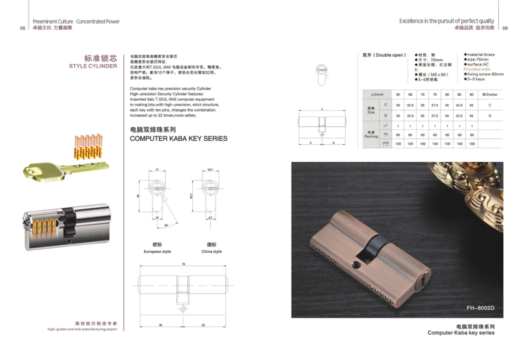 Security Mortise Rim Lock Cylinder with Keys (1A29FSB)