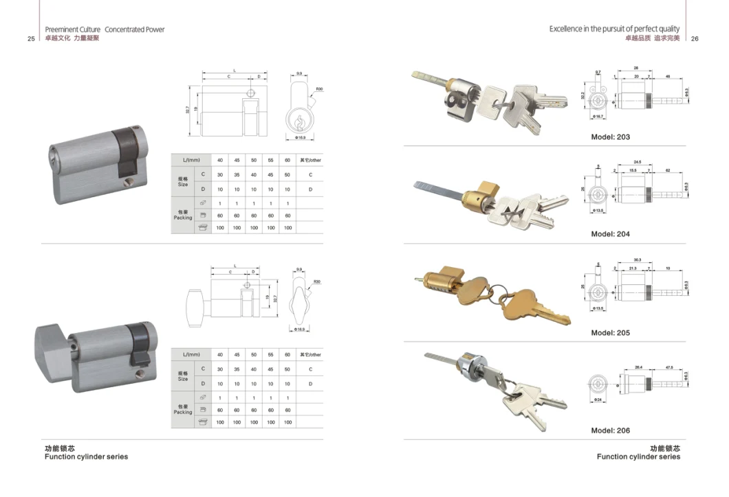 Security Mortise Rim Lock Cylinder with Keys (1A29FSB)