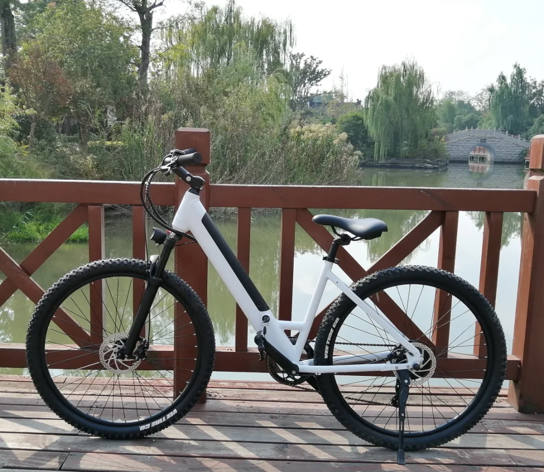 New Arrival Step Through City Bicycle Electric Power Bike Electric Dirt Bicycle Cheap Ebike From China