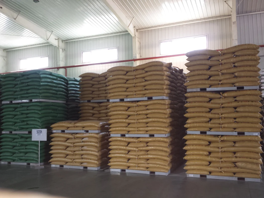 Rice Weighing Bagging/Packing Machine with Conveyor and Sewing Machine