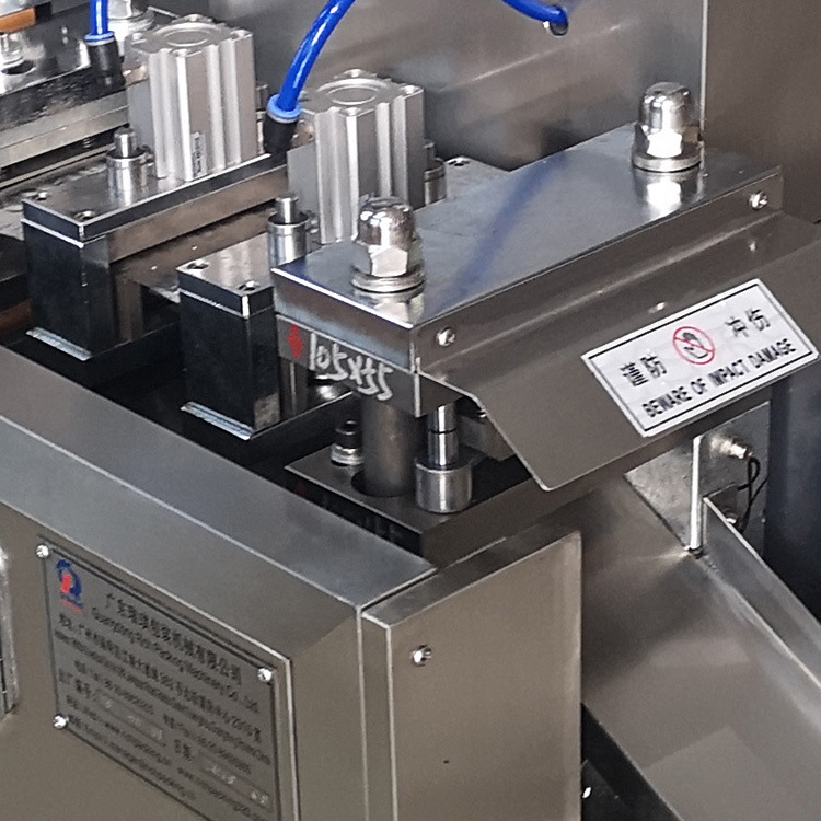 Dpp 160 R Pharmacy Blister Packing Machine 2 Year Warranty Pharmaceutical Pill Blister Packing Machine