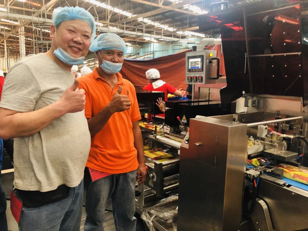 Single Bag Instant Noodle Cakes Automatic Pillow Packing/Packaging/Wrapping Machine Automatic Pouch Packing Machine