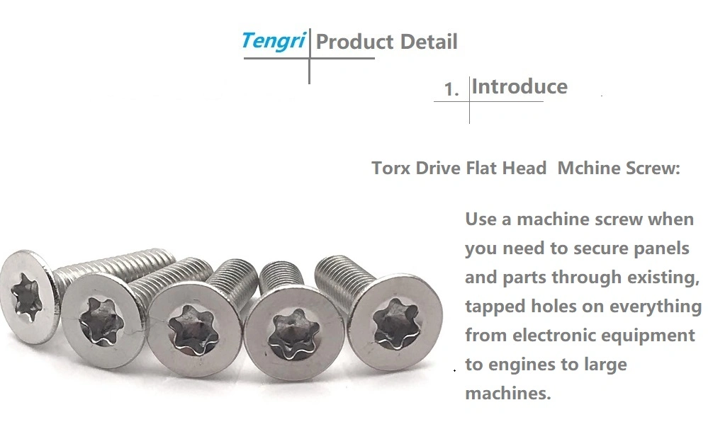 Hardware Stainless Steel 316 Torx Drive Flat Head Machine Screw Anti Theft Screw Security Machine Screw