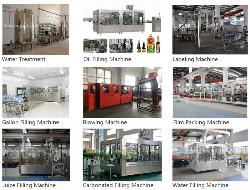 Automatic Pet Bottle Pure Mineral Water Filling/Bottling Machine (RFC-C)