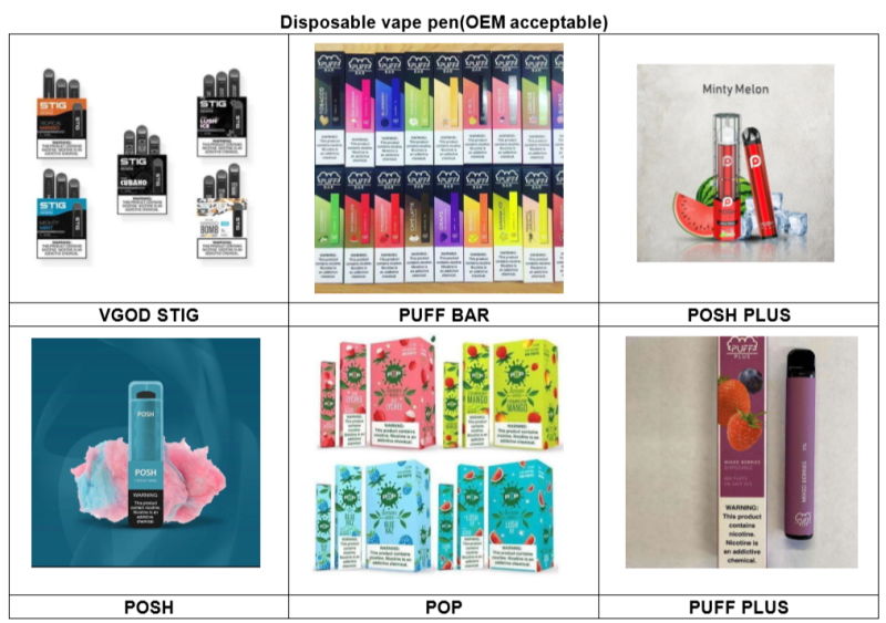 400 Puff Vaporizer Wholesale Disposable Ecig E-Cigarette Electronic Cigarette Vape