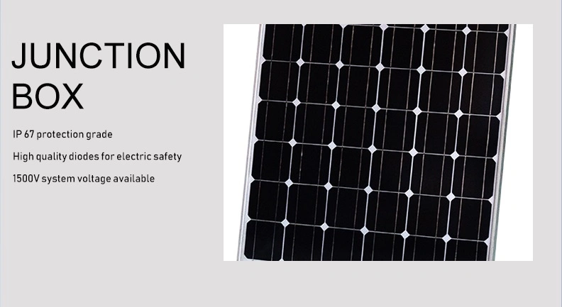 12V Home System Solar Panels 160W Solar Panel for Solar Pump