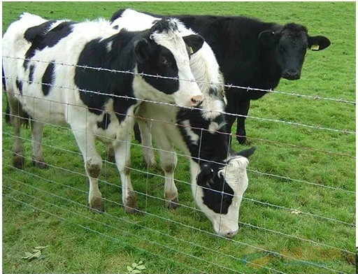 Prairie Fence Netting /Cattle Fence/Sheep Fence/Horse Fence and Other Animal Fence