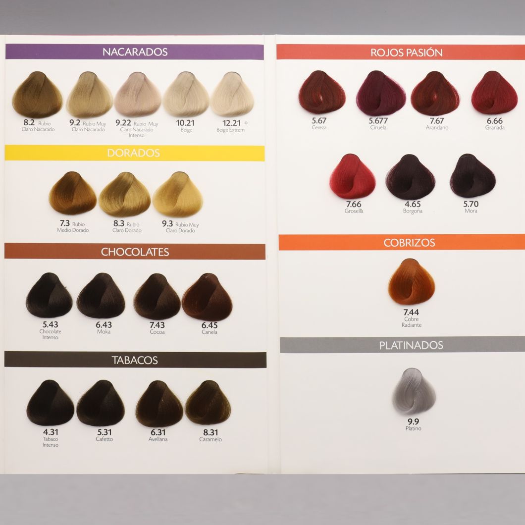 Professional Private Label Salon Hair Color Chart Book Color Swatch Chart of Italy Hair Dye