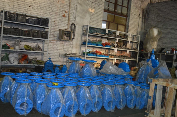 Handwheel Resilient Seat Flange Connection Pn16 Gate Valve for Water