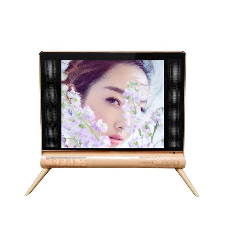 19" LED TV-19 Inch LED TV-19 Inch Solar LED TV