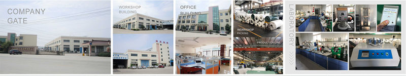 High Quality Fruit Polishing PVC Conveyor Belt /Ceramic Conveyor Belt