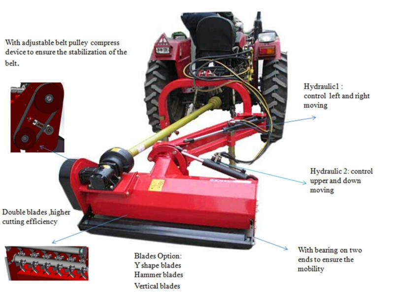 Garden Tools Grass Cutter Machines Lawn Mower (EFDL 125)