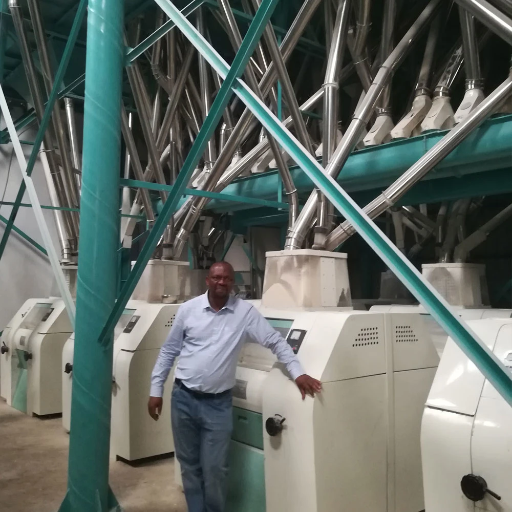 Basic Principle and Process of Flour Milling Machines