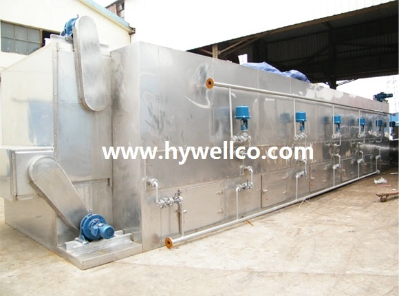 Customized Continuous Mesh Belt Drying Machine / Belt Dryer Machine / Belt Drier Machine for Fruit/Vegetable/Herb