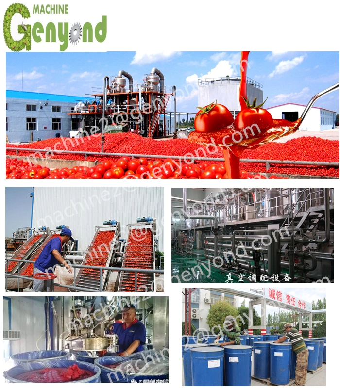 Commercial Equipment in Tomato Paste Sauce Ketchup Pulp Processing Making Machine Production Equipment Line