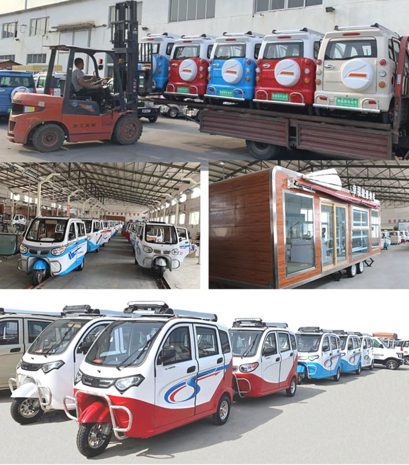 Low Speed Low Price Electric Car for Sale Family