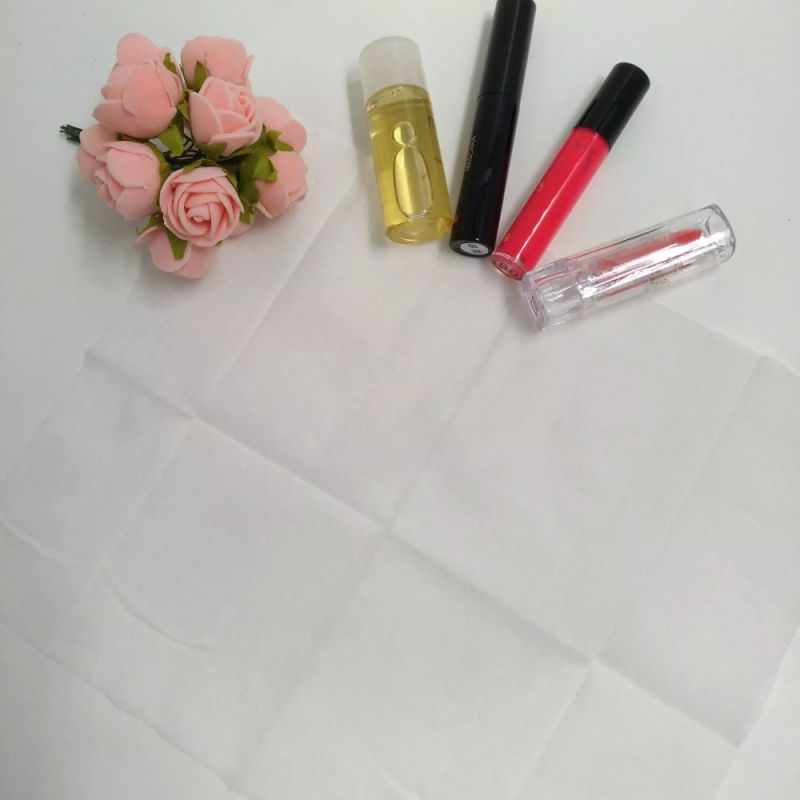 Cleaning Wipe/10 PCS Makeup Remover Wet Wipes Facial Wipes