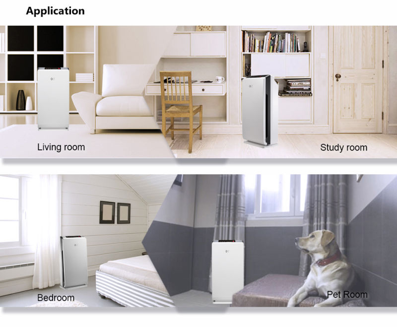 Ce RoHS FCC Ozone Anion Air Quality Sensor Air Purifier