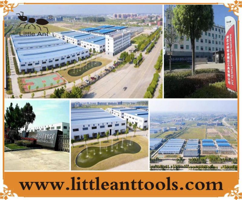 Stone/Granite/Marble/Concrete Diamond Dry Wet Polishing Pads