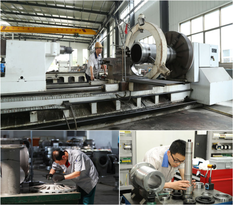 Horizontal Screw Press Separator for Sludge Dewatering Decanter Centrifuge