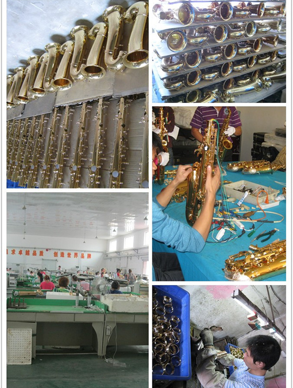 Alto Saxophone / Wind Instruments / Musical Instruments (Canex SAA201)