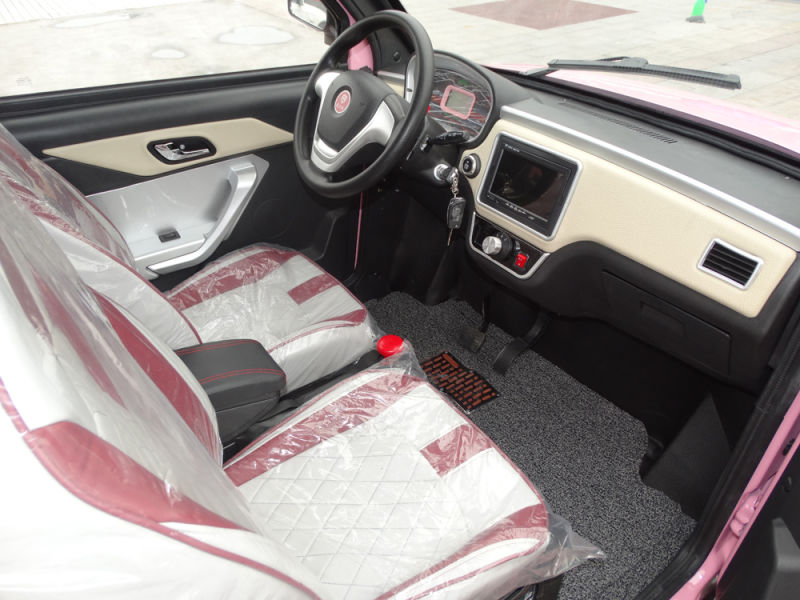 Low Speed Low Price Electric Car for Sale Family