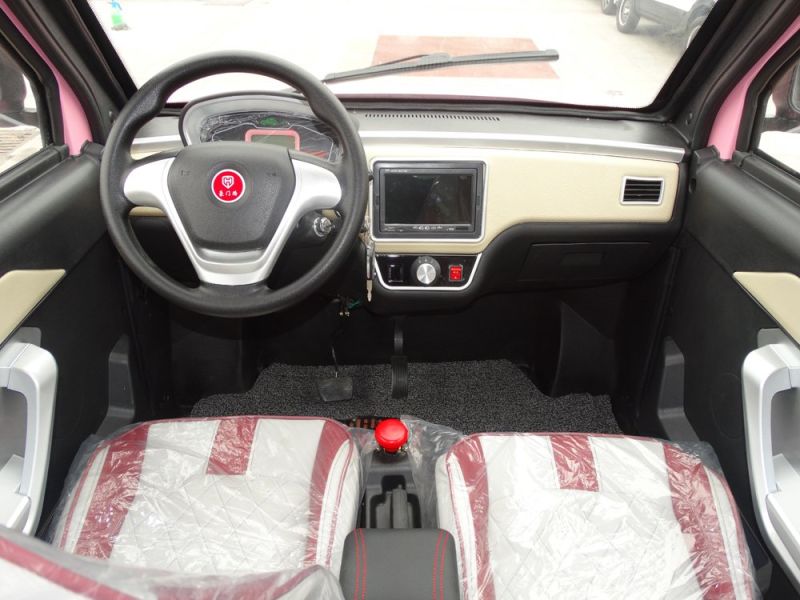 Low Speed Low Price Electric Car for Sale Family
