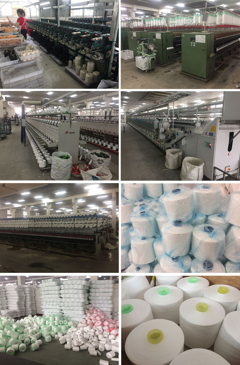 Ne 30s/3 Colored 100% Polyester Yarn for Knitting