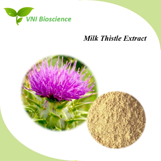 ISO SGS Certificated Silymarin and Silybin Powder /Milk Thistle Extract