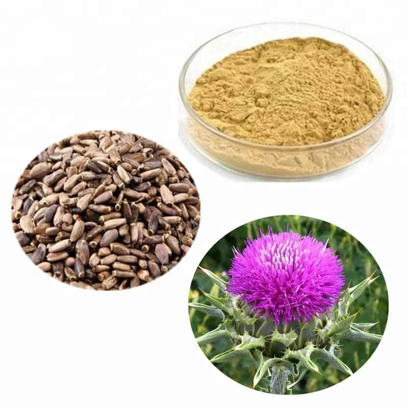 Wholesale Milk Thistle Supplement Silymarin Milk Thistle Seed Milk Thistle Extract