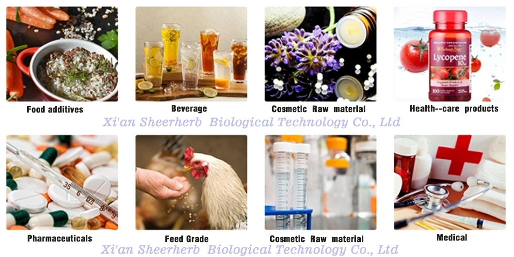 Sheerherb Factory Provides 100% Natural Turmeric Root Extract (95% and 98% curcumin capsules, 10% manufacturing curcumin)