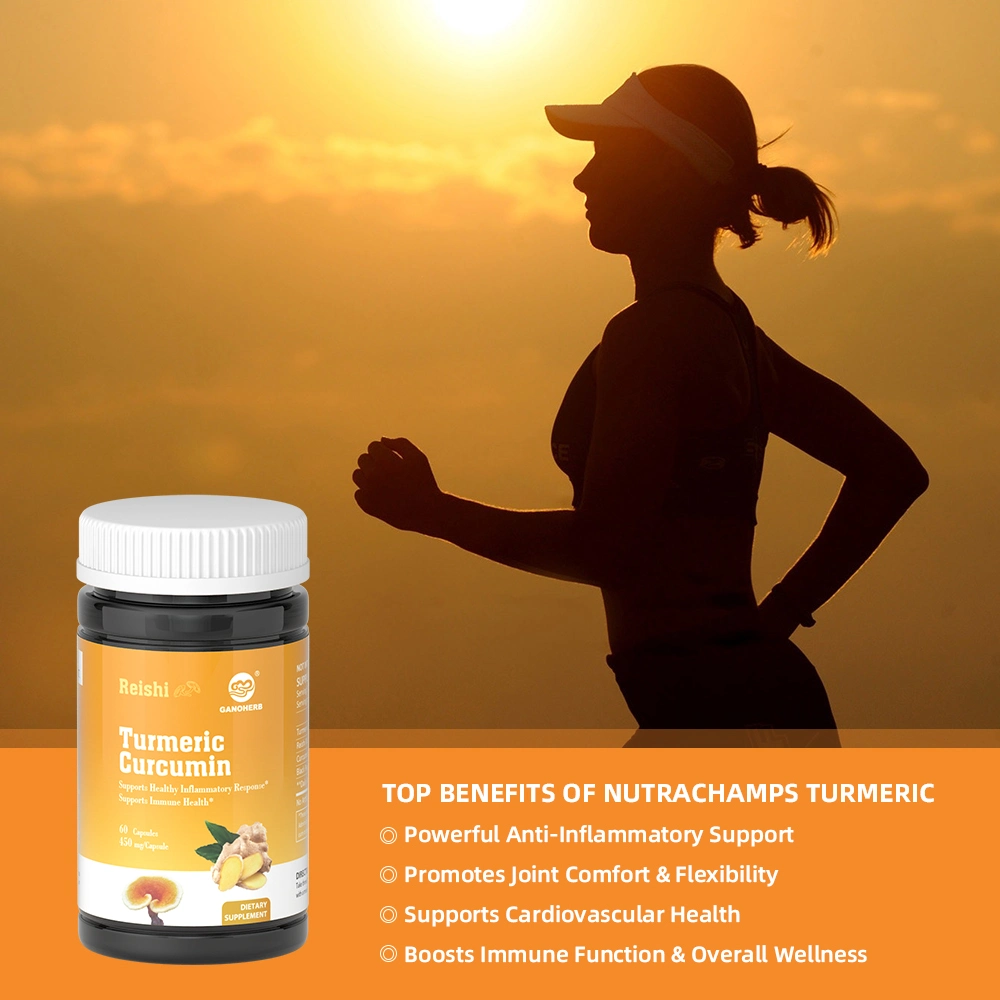 Ganoherb Boost Immunity and Anti-Inflammatory Curcumin Turmeric Supplement Powder Capsules Manufacturer