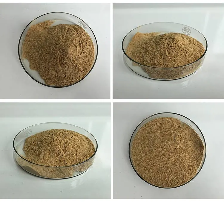 Antibacterial Anti-Oxidant Green Coffee Bean Extract