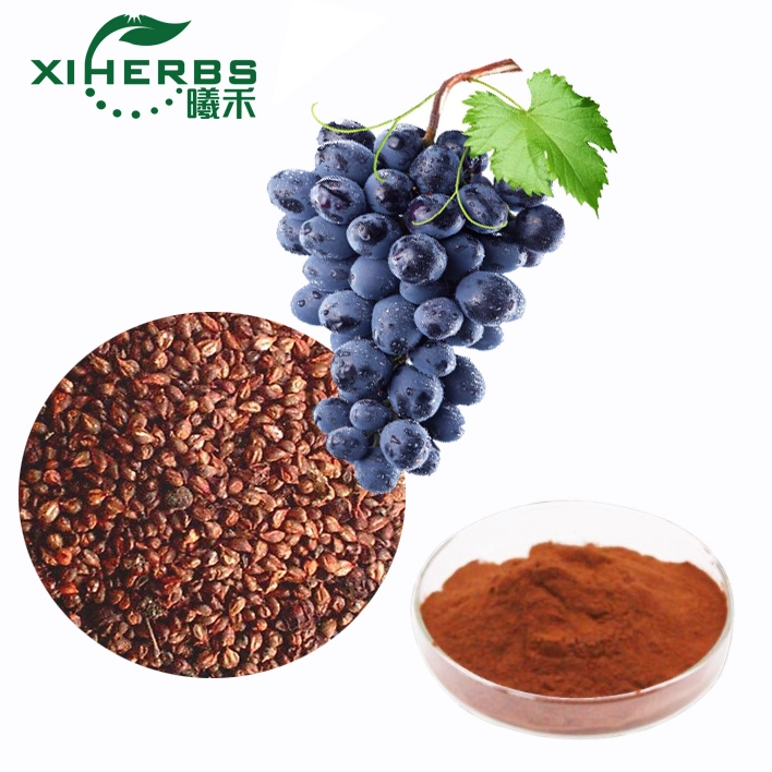 Strong Antioxidants Grape Seed Extract Proanthocyanidins OPC 95%, 98%